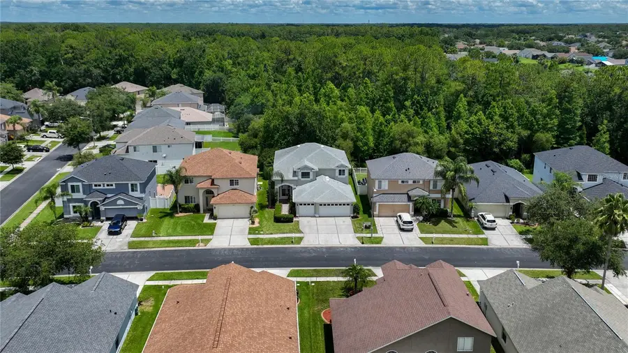 25435 Bruford Boulevard, Land O Lakes, FL 34639 - Image #2