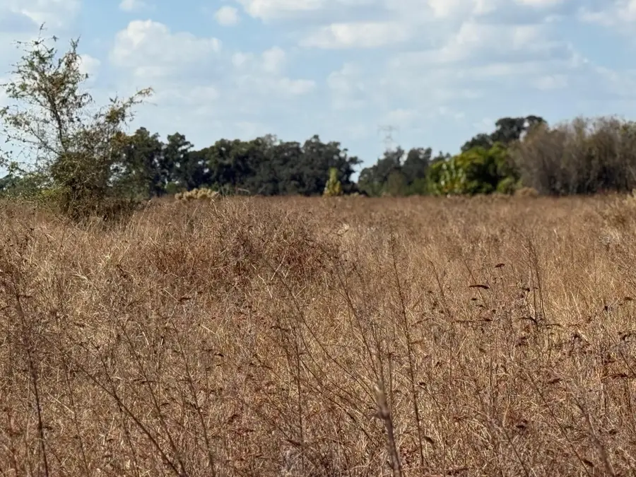 12828 Fort King Highway, Thonotosassa, FL 33592 - Image #3