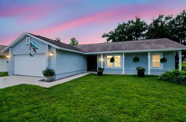 6704 Seafairer Drive, TAMPA, FL 33615