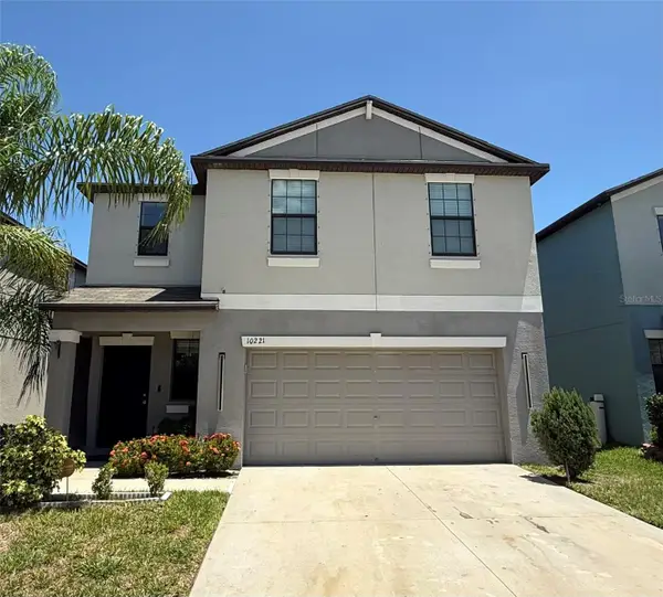 10221 Carloway Hills Drive, WIMAUMA, FL 33598