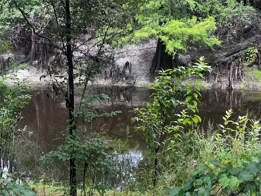 0 Olivet Drive, Ridge Manor, FL 33523 - Image #2