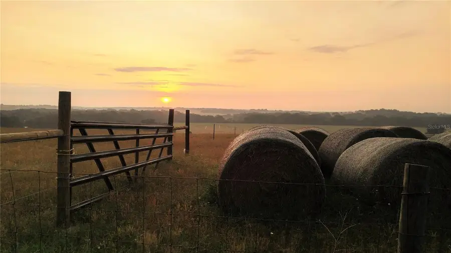 8608 Gall Boulevard, Zephyrhills, FL 33541 - Image #2