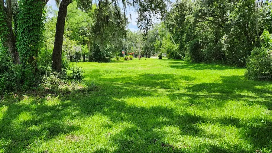 4th Avenue, San Antonio, FL 33576 - #3