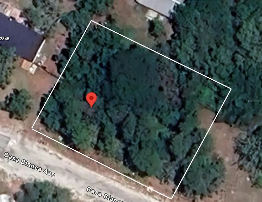 12905 Casa Bianca Avenue, New Port Richey, FL 34654 - Image #2