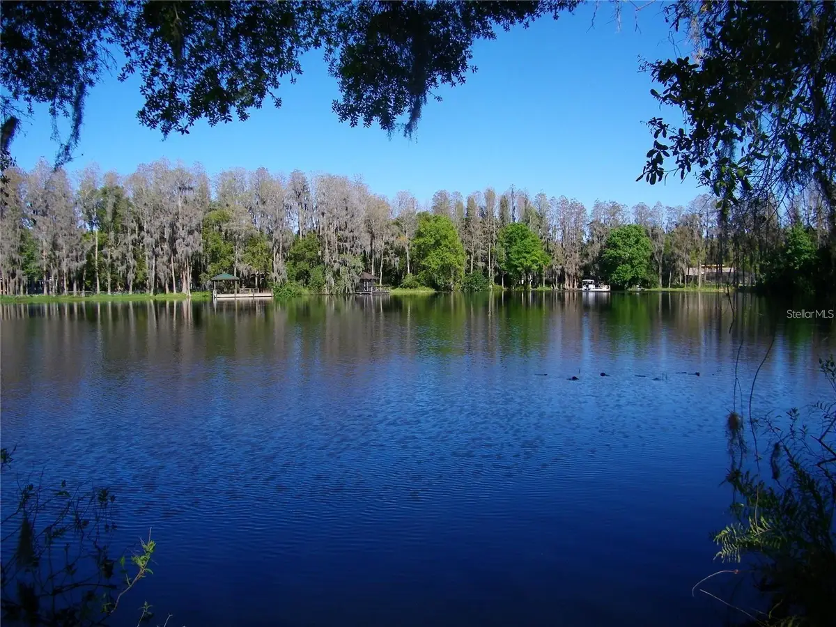 17017 Paula Lane, Lutz, FL 33558 - Image #1