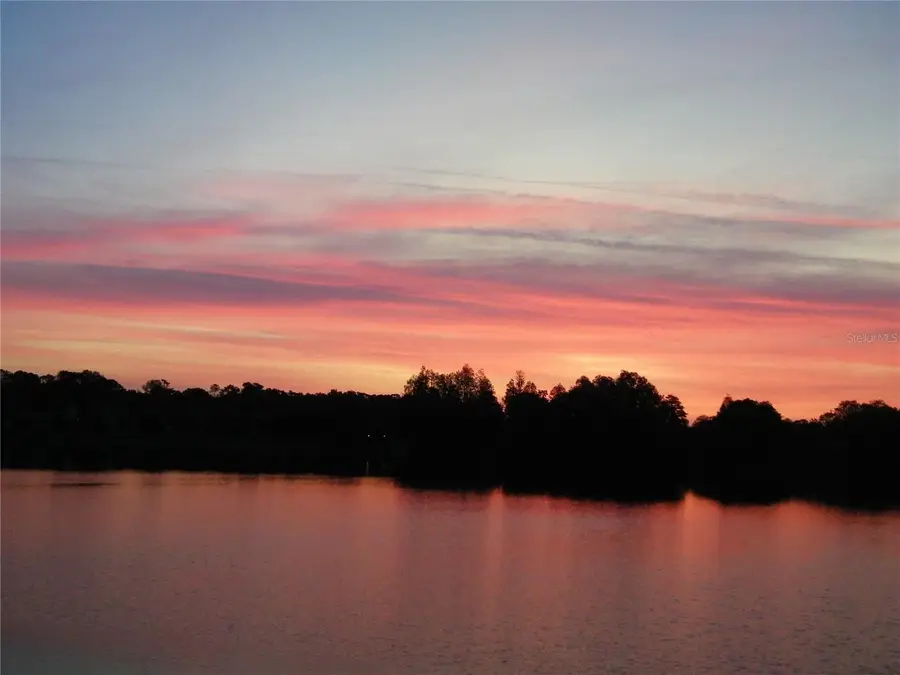 17017 Paula Lane, Lutz, FL 33558 - Image #3