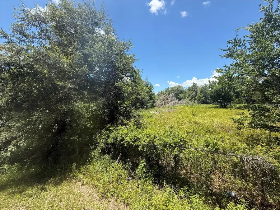 0 Goolsby Street, Webster, FL 33597 - Image #3