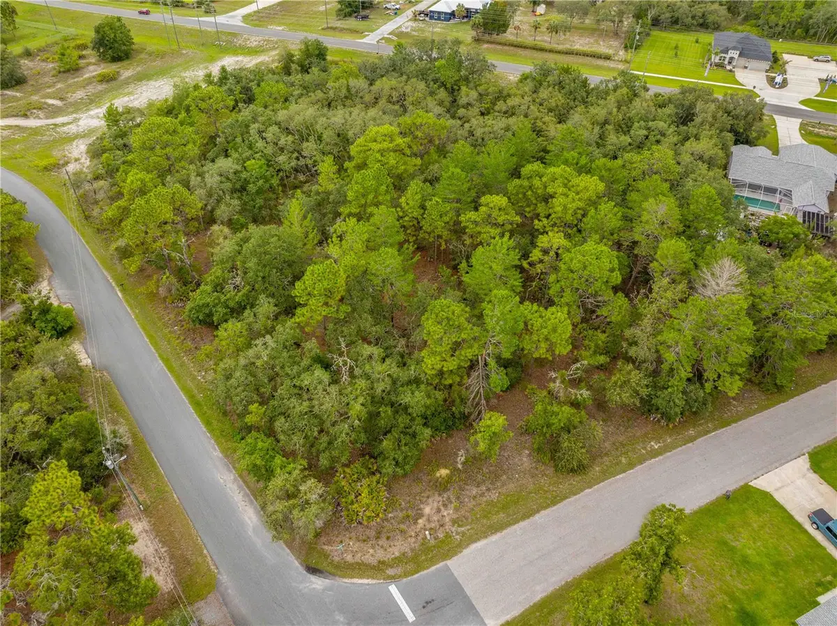 0000 Mansign Road, Weeki Wachee, FL 34613 - Image #1