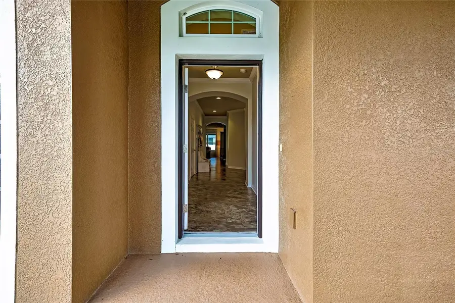 31518 Bearded Oak Drive, Wesley Chapel, FL 33543 - Image #3