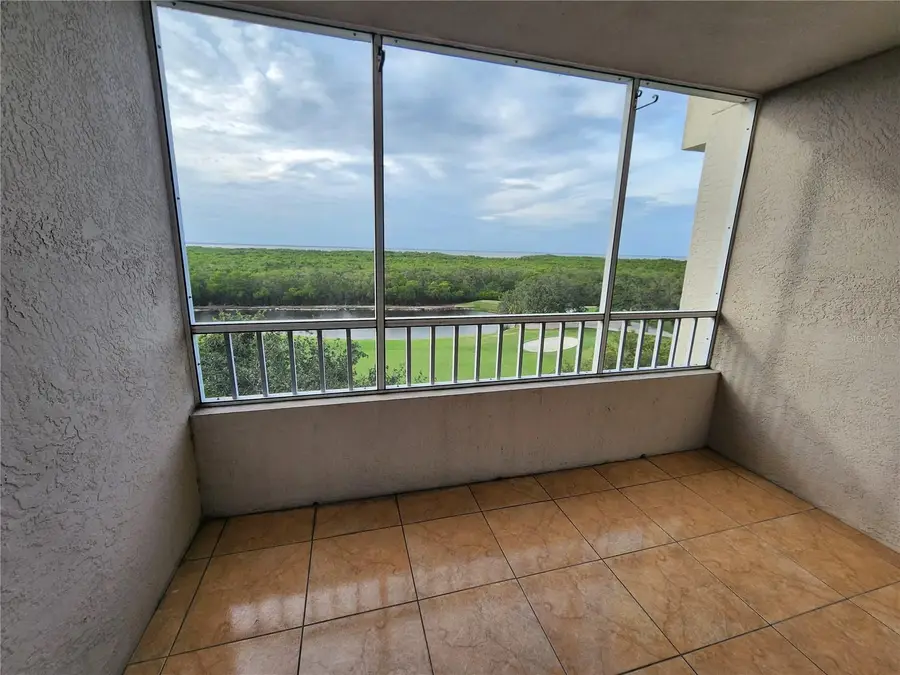 2333 Feather Sound Drive #A607, Clearwater, FL 33762 - Image #2