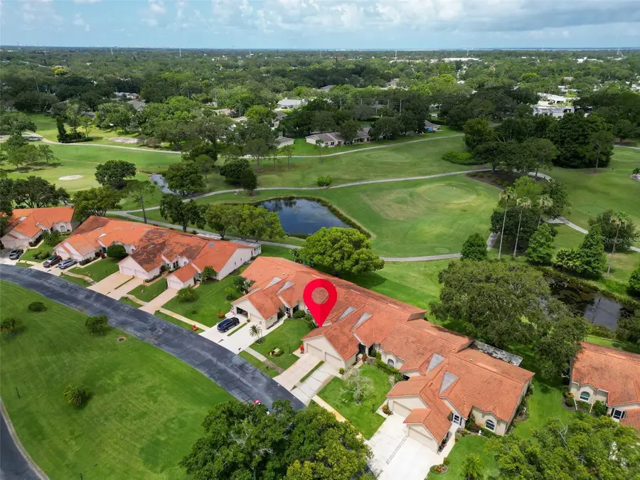 1164 Rustlewood Court, Palm Harbor, FL 34684 - Image #3