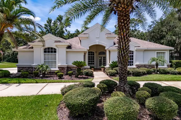 6031 Audubon Manor Boulevard, LITHIA, FL 33547