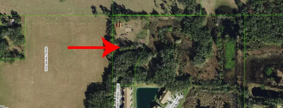 12896 Amber Renee Lane, Dade City, FL 33525 - Image #3