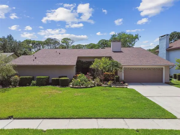 4214 Deepwater Lane, TAMPA, FL 33615