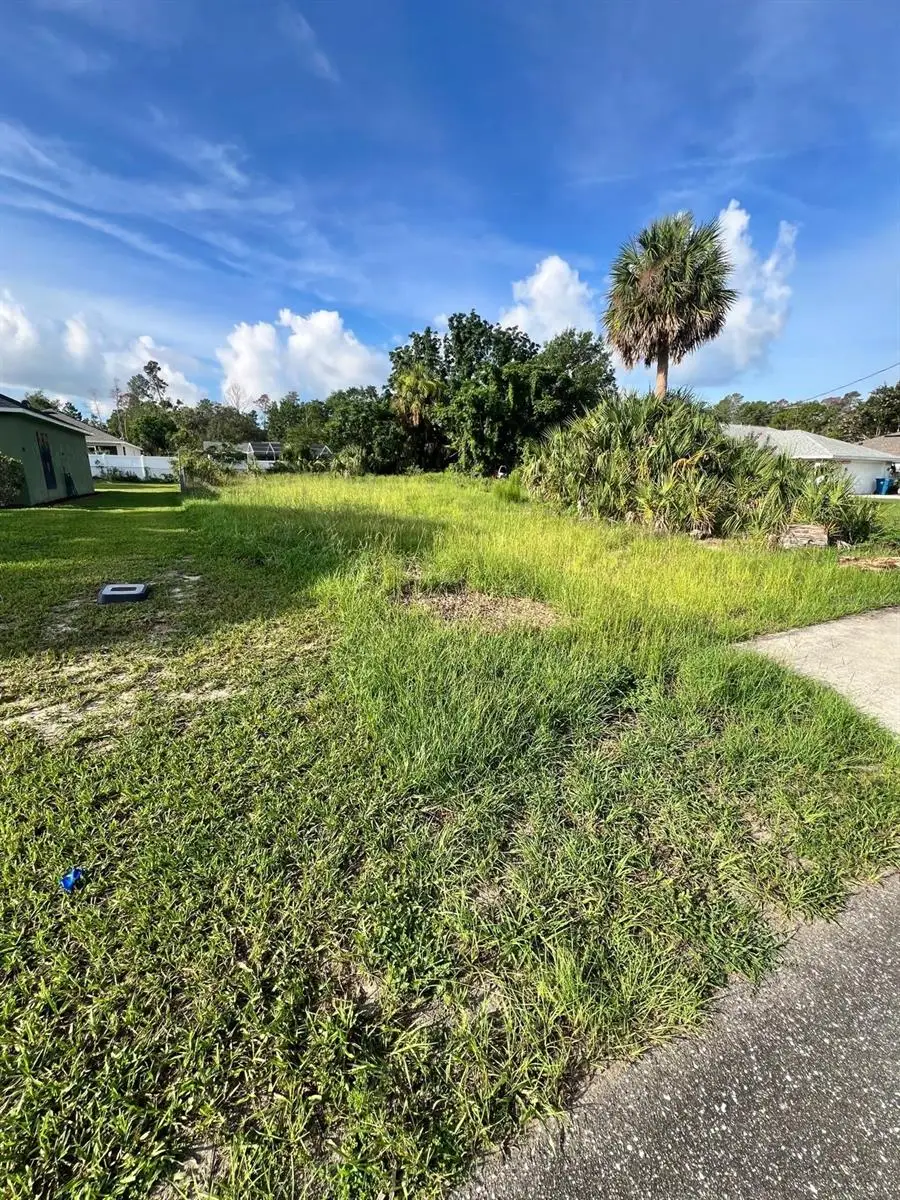 12454 Montego Street, Spring Hill, FL 34609 - #3