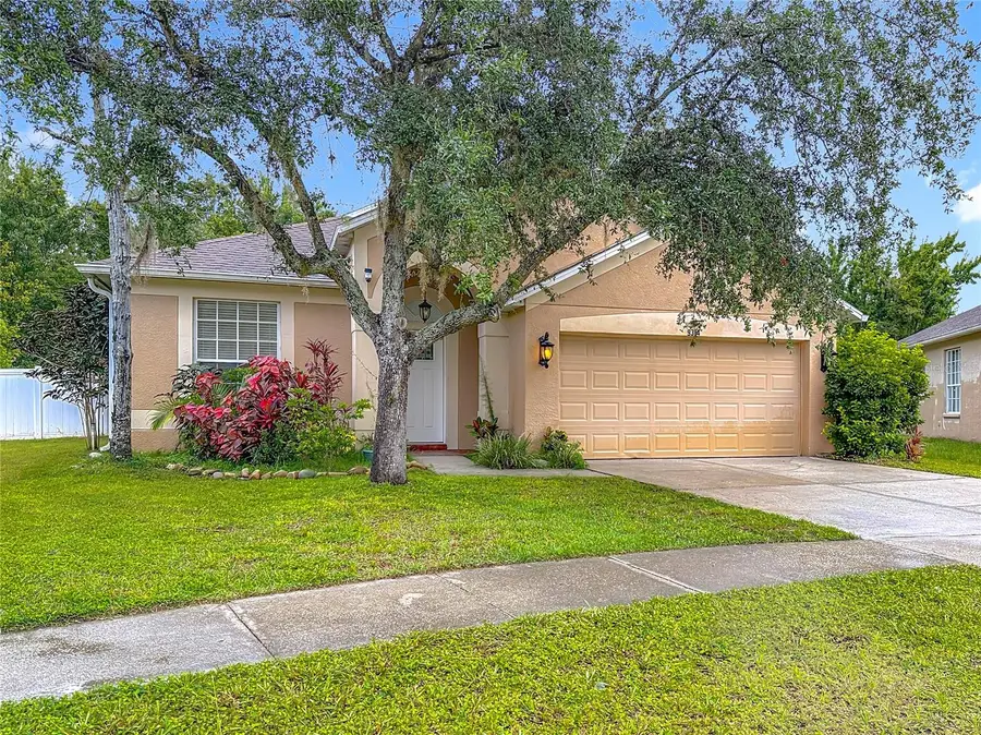 9314 Black Thorn Loop, Land O Lakes, FL 34638 - Image #3