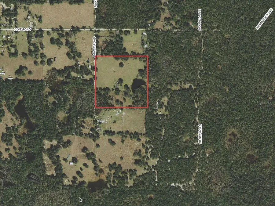 20716 Ramer Road, Dade City, FL 33523 - Image #2
