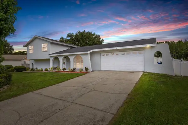 16521 Silverhill Drive, TAMPA, FL 33624