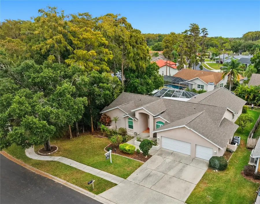 3125 Edgemoor Drive, Palm Harbor, FL 34685 - Image #2