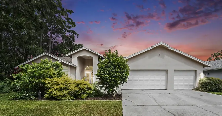 3125 Edgemoor Drive, Palm Harbor, FL 34685 - Image #3