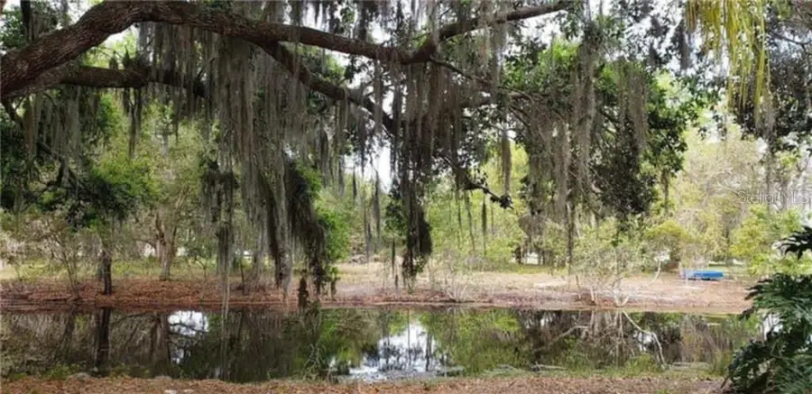 4008 Pine Lane, Haines City, FL 33844 - Image #3