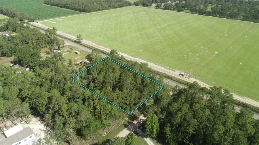 5505 Melanie Street, Hastings, FL 32145 - Image #2