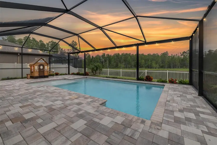 21896 Emory Oak Place, Land O Lakes, FL 34637 - Image #2