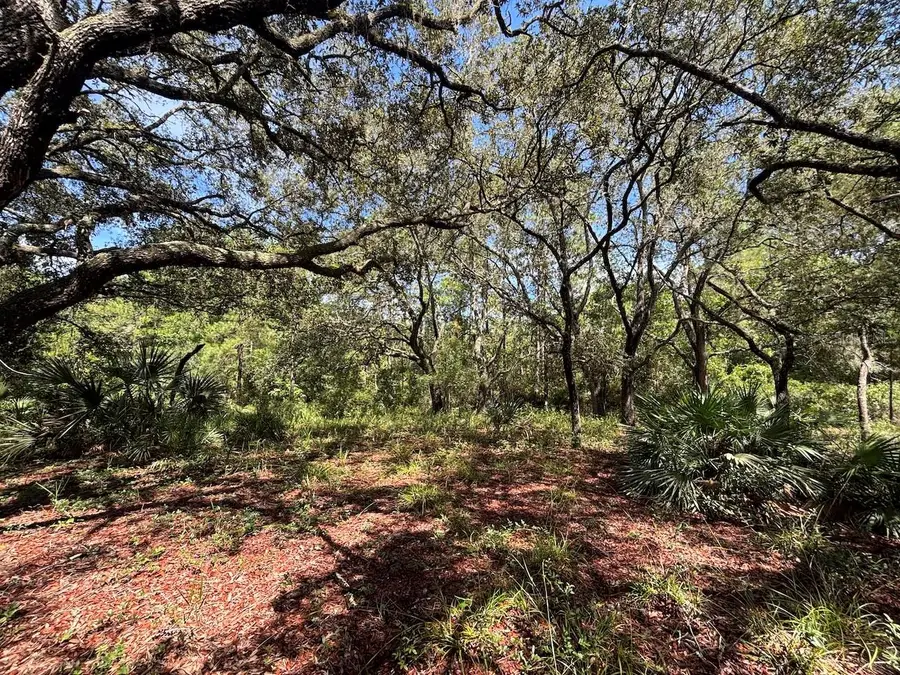 1 4057-0797, Fort McCoy Anthony, FL 32134 - Image #3