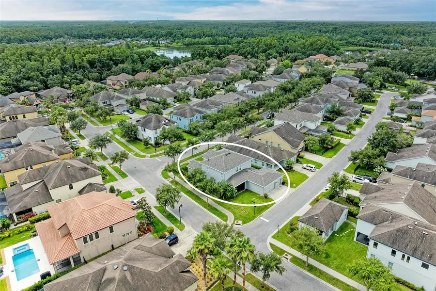 20126 Outpost Point Drive, Tampa, FL 33647 - Image #3