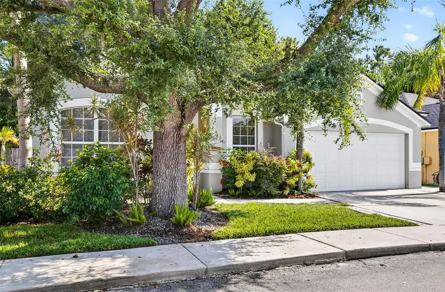 8853 Cypress Hammock Drive, Tampa, FL 33614 - Image #3