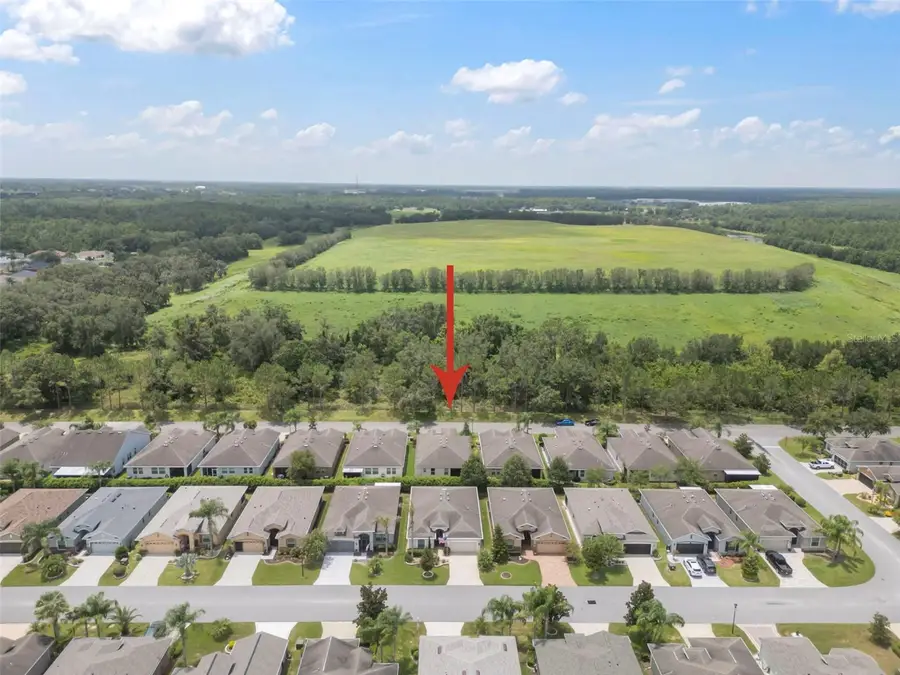 29405 Cochiti Lake Drive, San Antonio, FL 33576 - Image #3