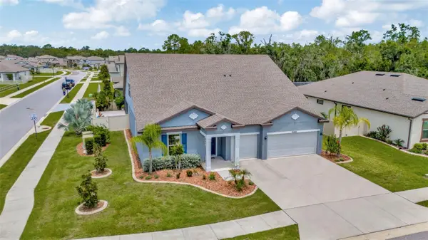 18359 Cortes Creek Boulevard, SPRING HILL, FL 34610