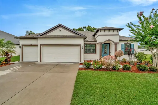 11026 Brahman Ranch Circle, RIVERVIEW, FL 33578