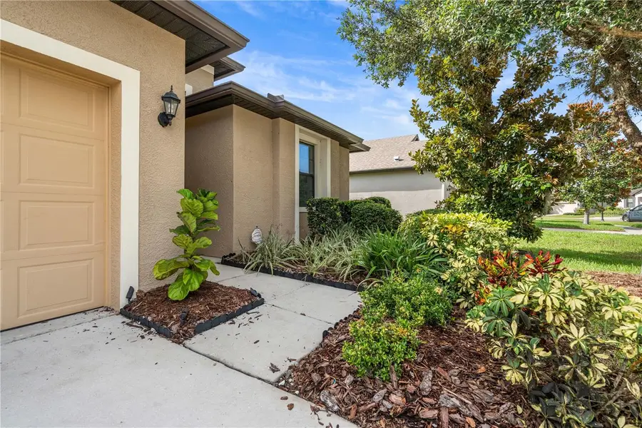 19730 Post Island Loop, Land O Lakes, FL 34638 - Image #3