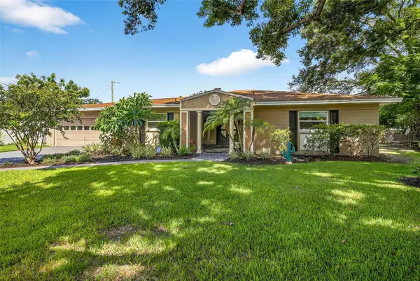 6410 Felice Avenue, TAMPA, FL 33614