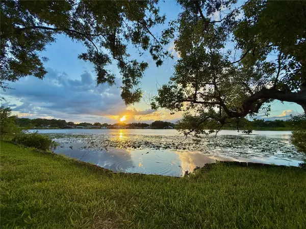 8304 Palma Vista Lane, TAMPA, FL 33614