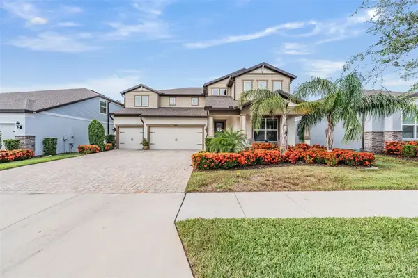 2836 Buckhorn Forest Drive, VALRICO, FL 33594