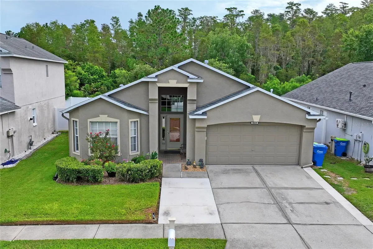 30639 Tremont Drive, Wesley Chapel, FL 33543 - Image #1