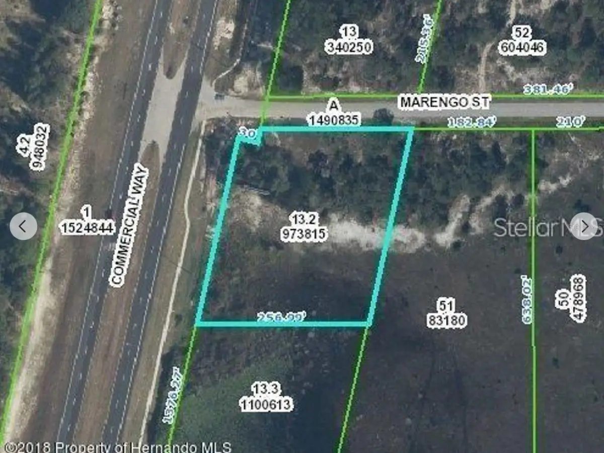 9468 Marengo Street, Weeki Wachee, FL 34613 - Image #1