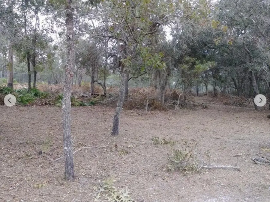 9468 Marengo Street, Weeki Wachee, FL 34613 - Image #3