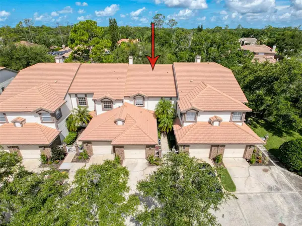 1292 Clays Trail, OLDSMAR, FL 34677