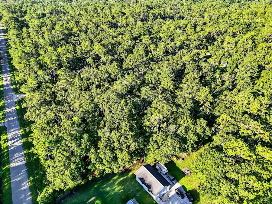 4700 Judy Street, Hastings, FL 32145 - Image #2