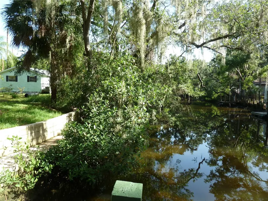 Seagull Way, Tampa, FL 33635 - Image #3