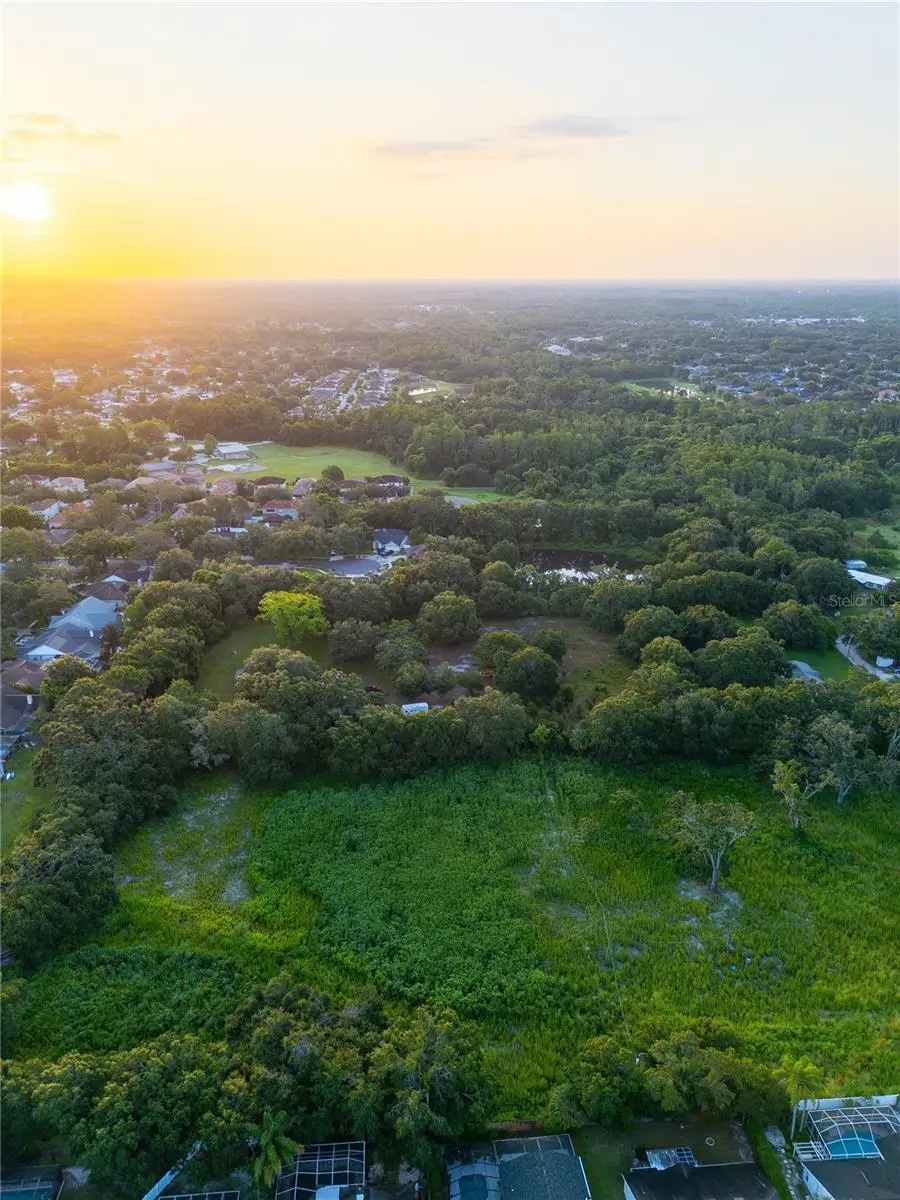 6327 Gant Road, Tampa, FL 33625 - Image #3