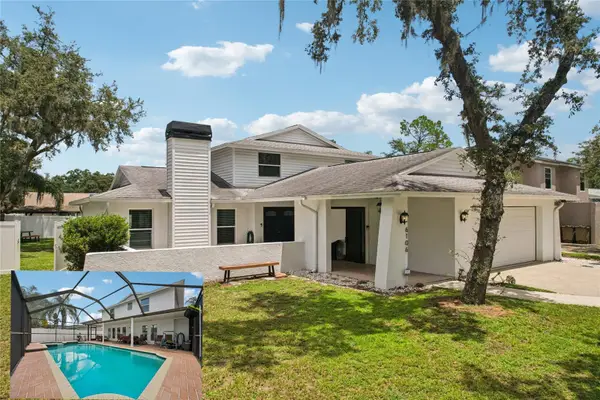 6106 Rain Briar Court, TEMPLE TERRACE, FL 33617