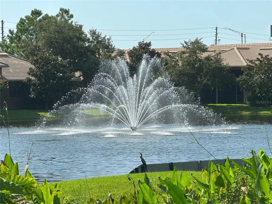 2567 Gloriosa Drive, Palm Harbor, FL 34684 - #3