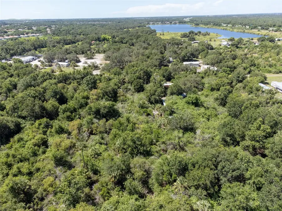 12020 Bullfrog Creek Road, Gibsonton, FL 33534 - Image #2