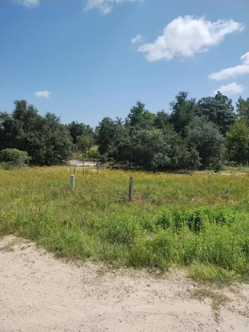 31 136th Court Ne, Williston, FL 32696 - Image #3