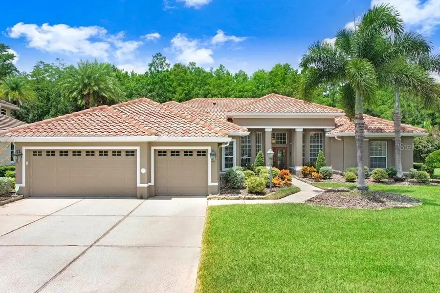 12029 Brewster Drive, Tampa, FL 33626 - Image #2