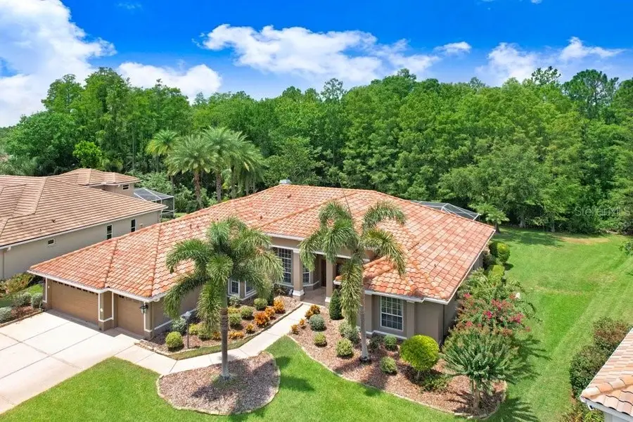 12029 Brewster Drive, Tampa, FL 33626 - Image #3